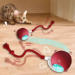 interactive cat ball