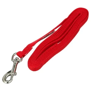Toy Leash for Dogs,