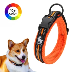 Dog Walking Collar Padded
