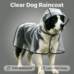 Transparent Dog Raincoat,